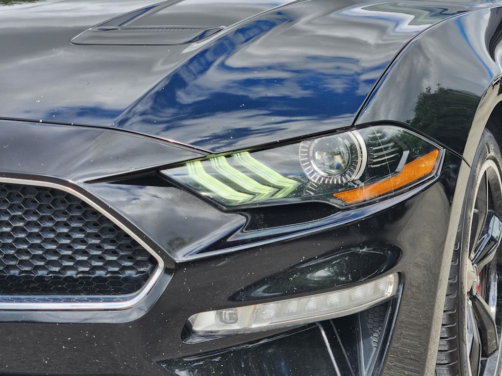 Thumbnail: 2019 Ford Mustang - 20