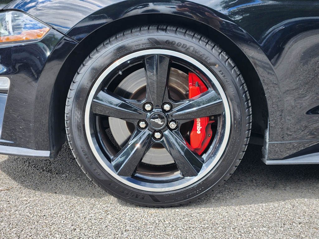 Thumbnail: 2019 Ford Mustang - 21