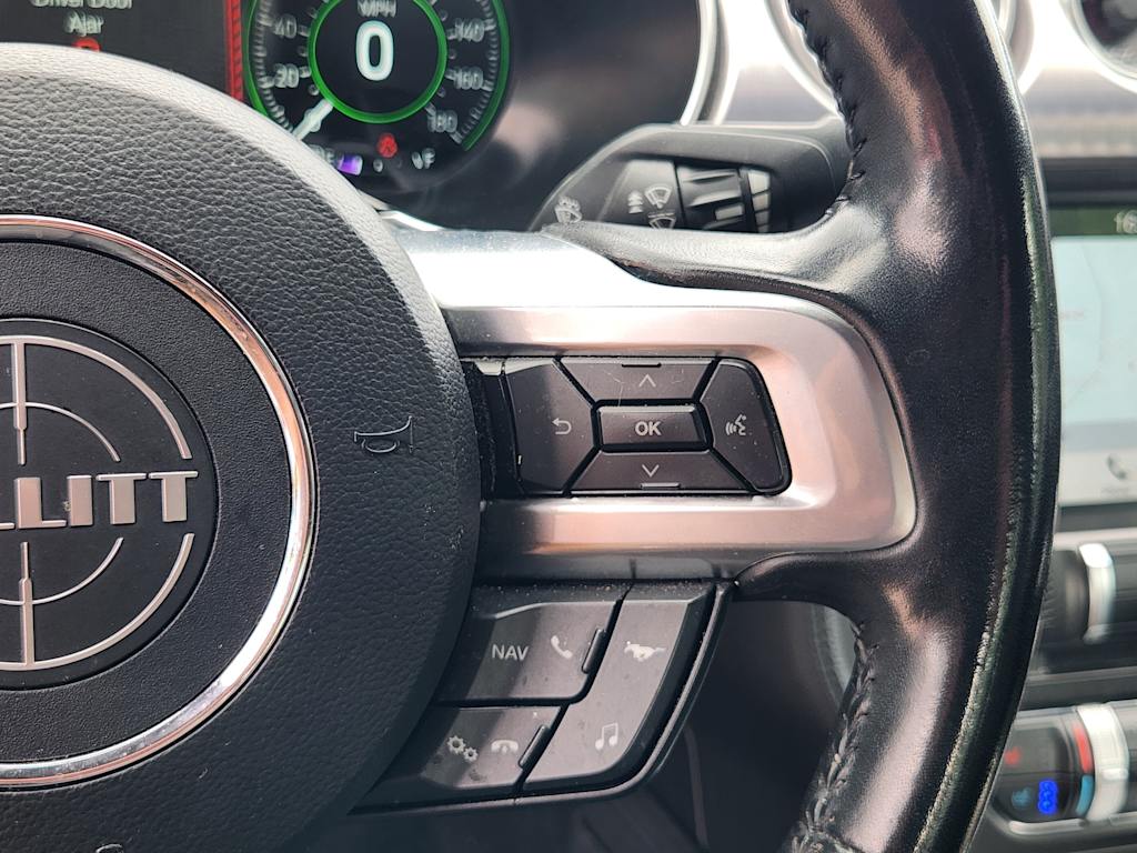 Thumbnail: 2019 Ford Mustang - 31