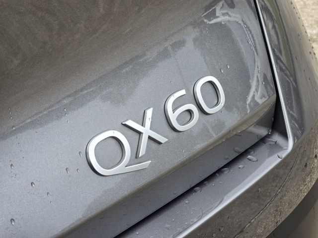 Thumbnail: 2026 INFINITI QX60 - 7