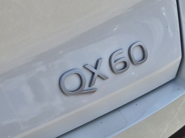 Thumbnail: 2026 INFINITI QX60 - 7