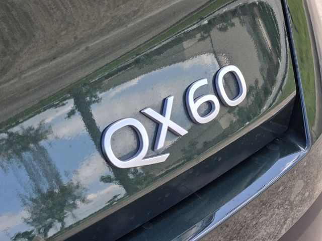 Thumbnail: 2026 INFINITI QX60 - 7