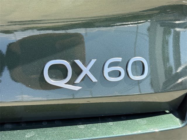 Thumbnail: 2026 INFINITI QX60 - 7