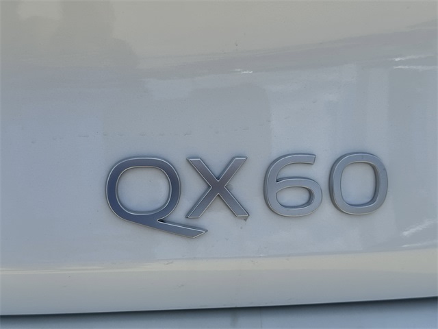 Thumbnail: 2026 INFINITI QX60 - 19