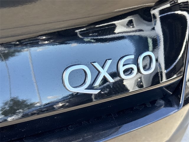 Thumbnail: 2026 INFINITI QX60 - 17