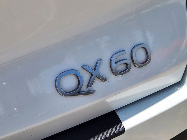 Thumbnail: 2026 INFINITI QX60 - 7