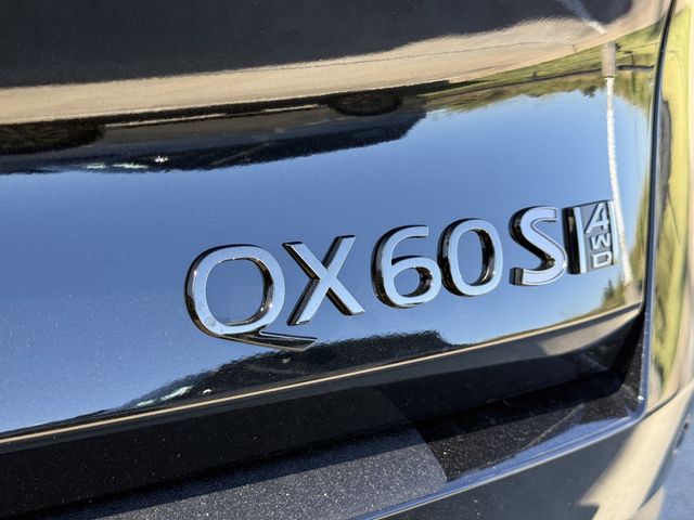 Thumbnail: 2026 INFINITI QX60 - 6