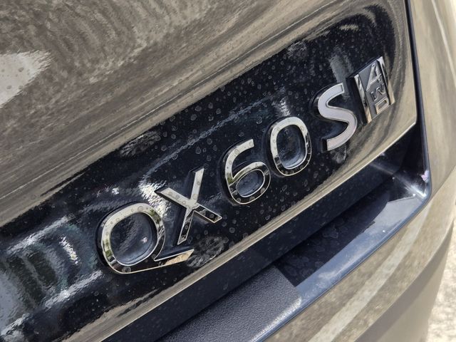 Thumbnail: 2026 INFINITI QX60 - 17