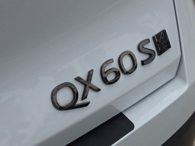 Thumbnail: 2026 INFINITI QX60 - 6