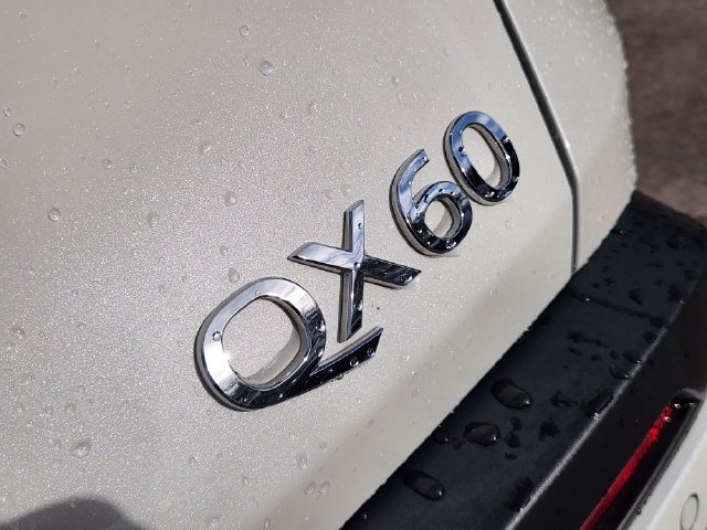 Thumbnail: 2025 INFINITI QX60 - 7