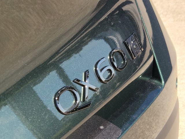 Thumbnail: 2026 INFINITI QX60 - 7