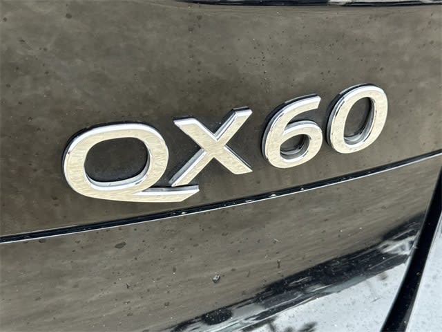 Thumbnail: 2019 INFINITI QX60 - 7