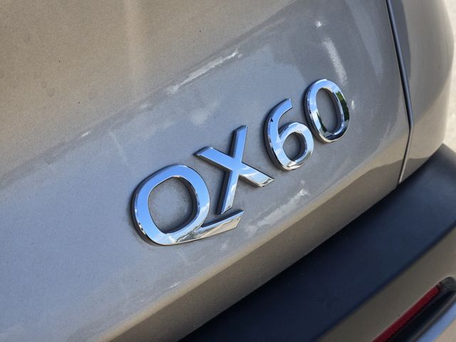 Thumbnail: 2024 INFINITI QX60 - 7