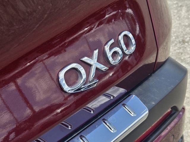 Thumbnail: 2023 INFINITI QX60 - 7