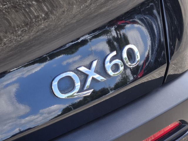 Thumbnail: 2024 INFINITI QX60 - 7