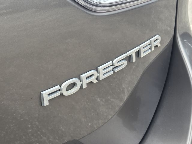 Thumbnail: 2019 Subaru Forester - 7