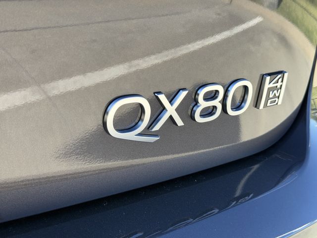 Thumbnail: 2026 INFINITI QX80 - 6
