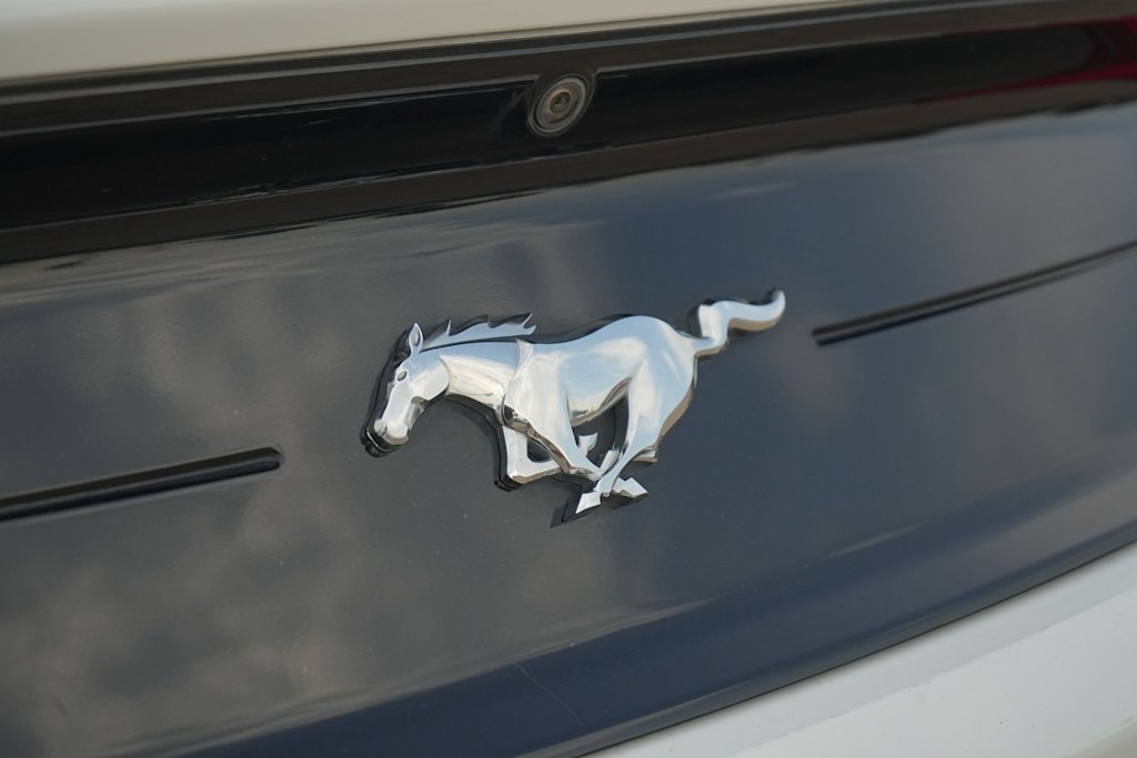 Thumbnail: 2019 Ford Mustang - 7