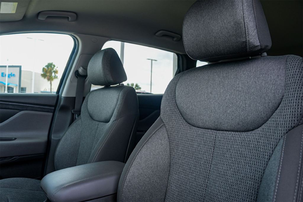 Thumbnail: 2020 Hyundai Santa Fe - 11