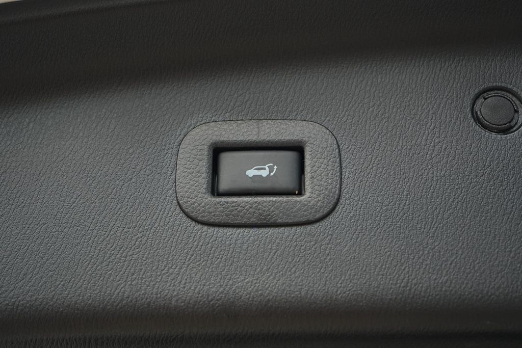 Thumbnail: 2019 INFINITI QX80 - 29