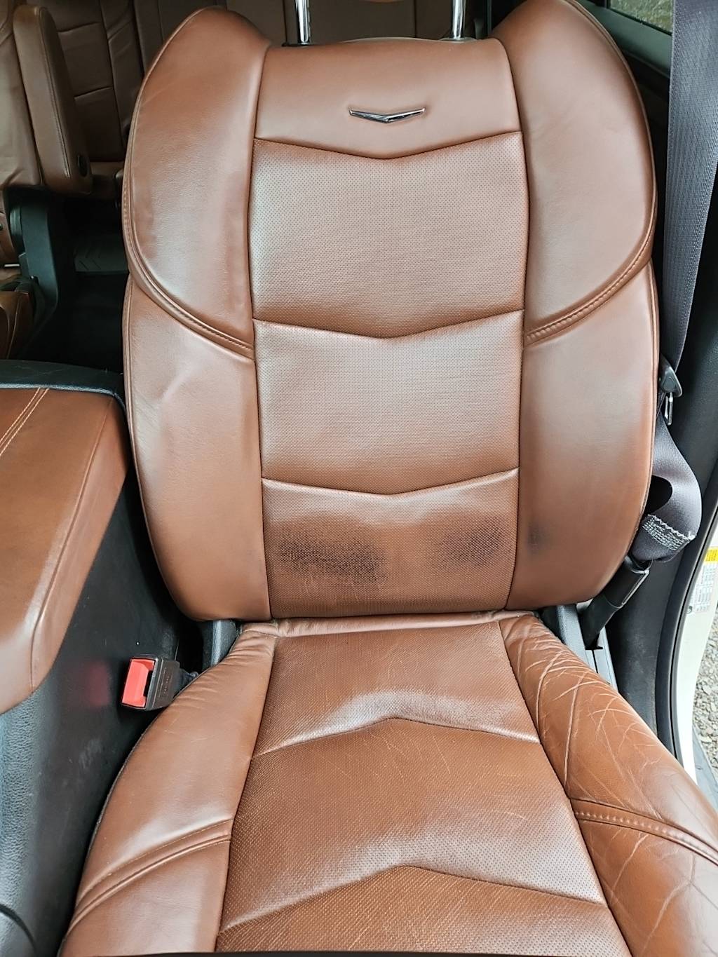 Thumbnail: 2015 Cadillac Escalade - 9