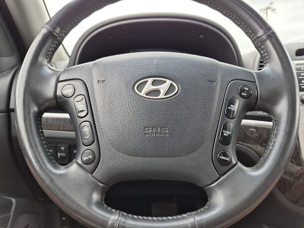 Thumbnail: 2009 Hyundai Santa Fe - 29