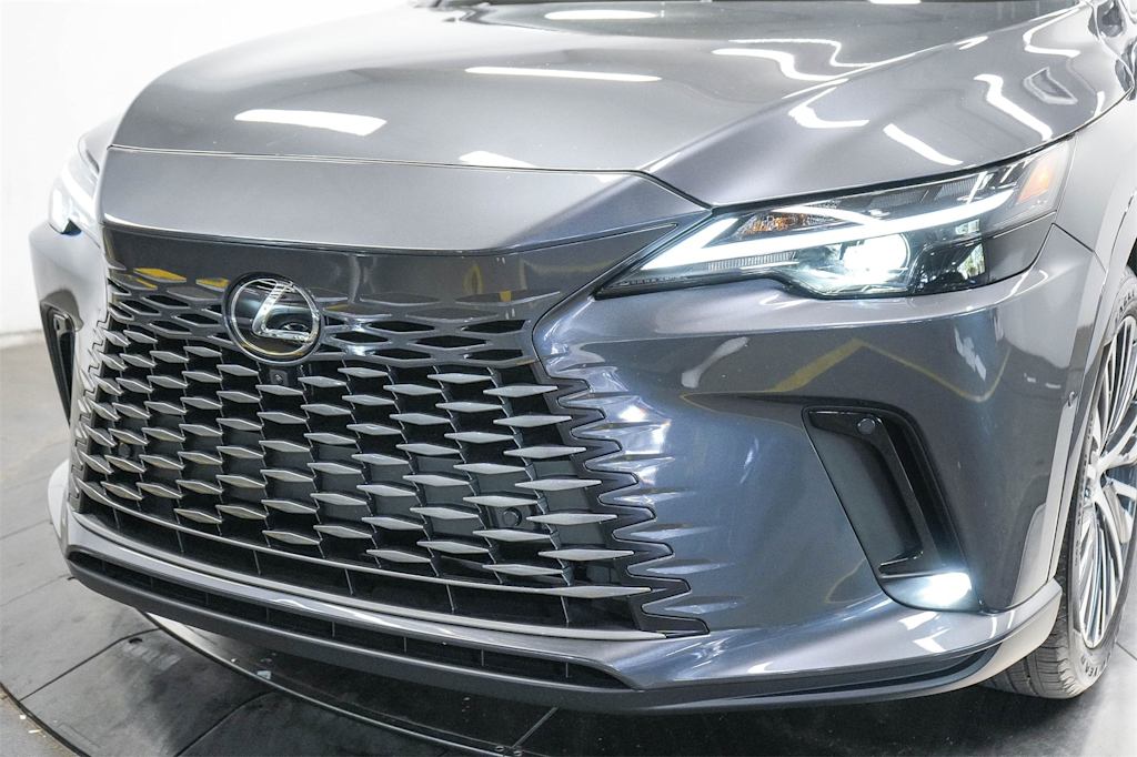2024 Lexus RX 350 Premium+ 19