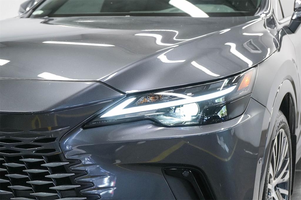 2024 Lexus RX 350 Premium+ 18