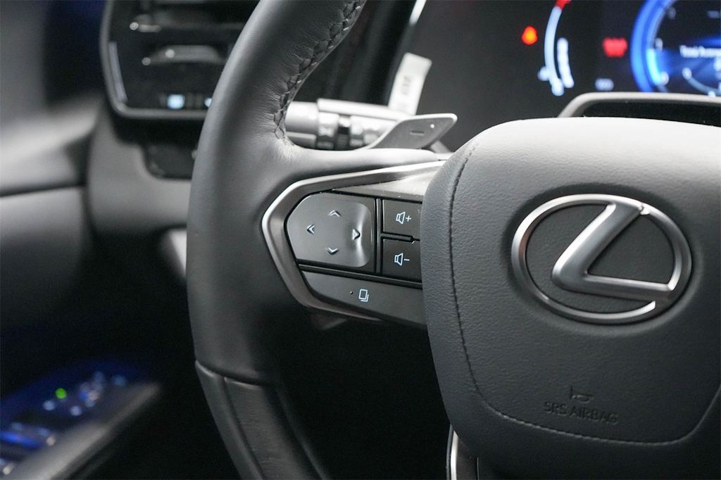 2024 Lexus RX 350 Premium+ 26