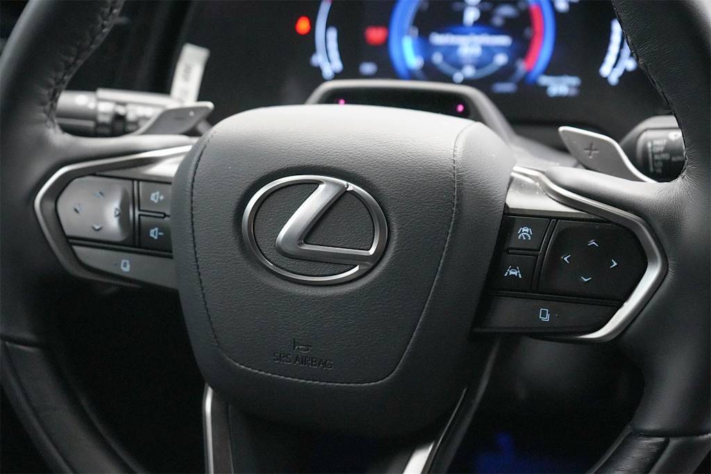 2024 Lexus RX 350 Premium+ 28