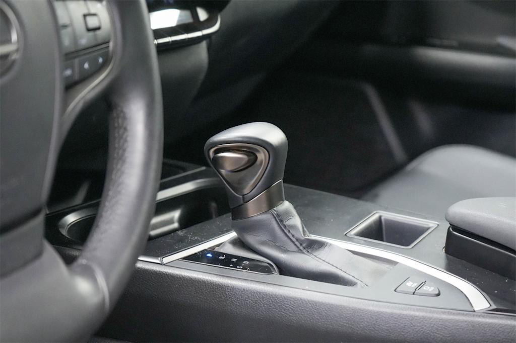 2024 Lexus UX 250h 32