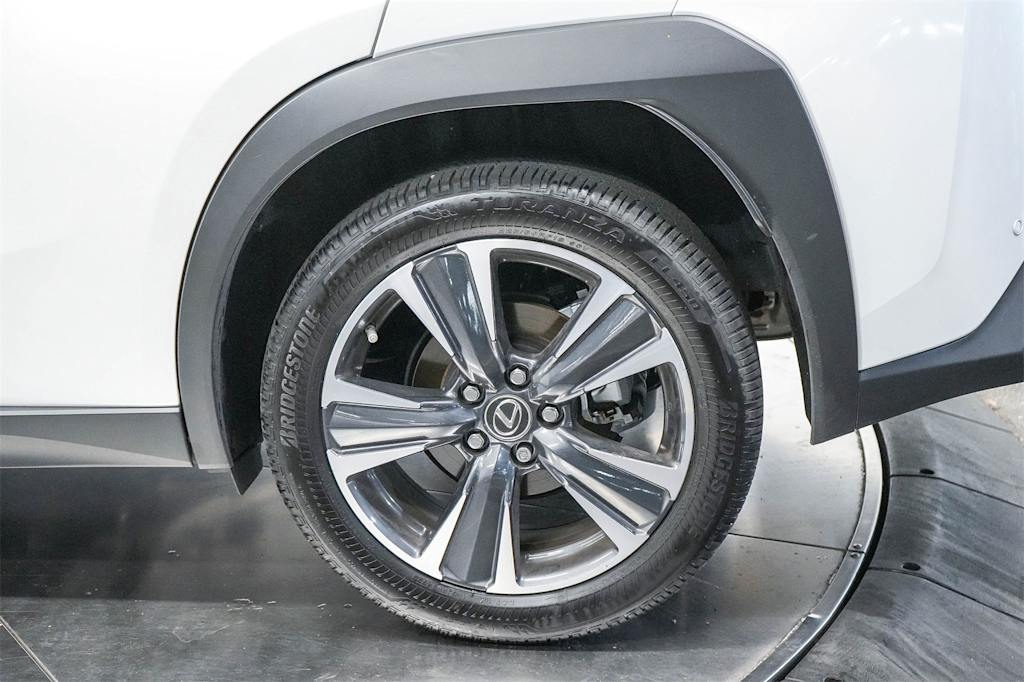 2024 Lexus UX 250h 24