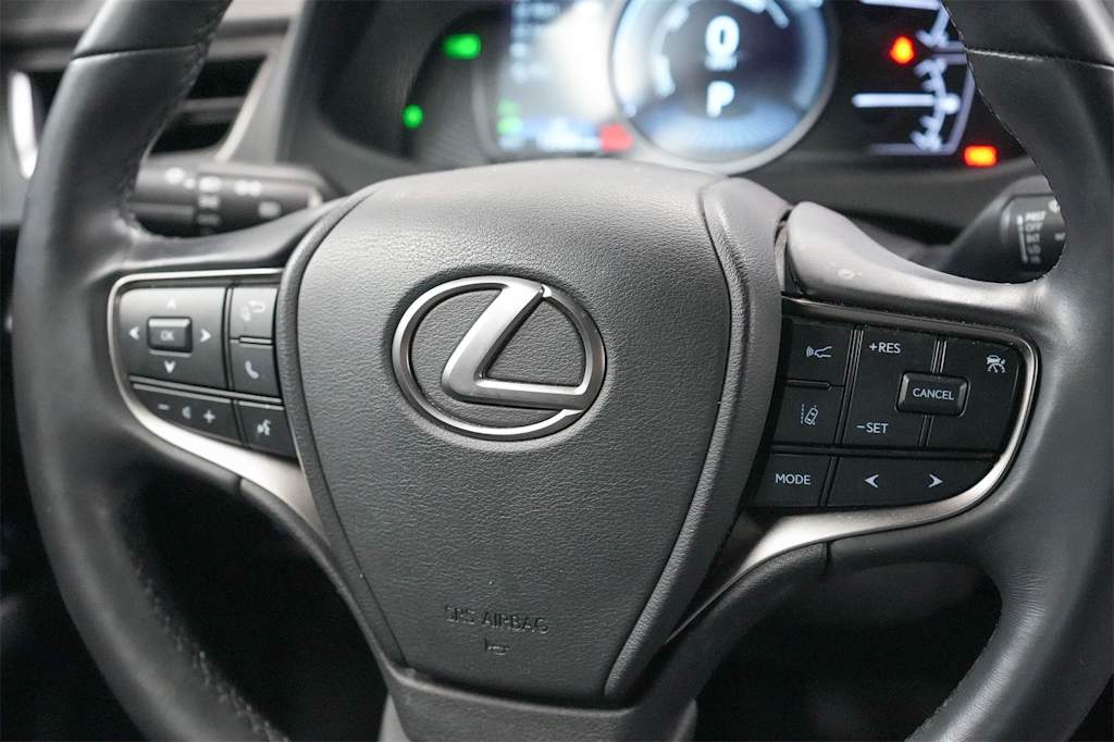 2024 Lexus UX 250h 28