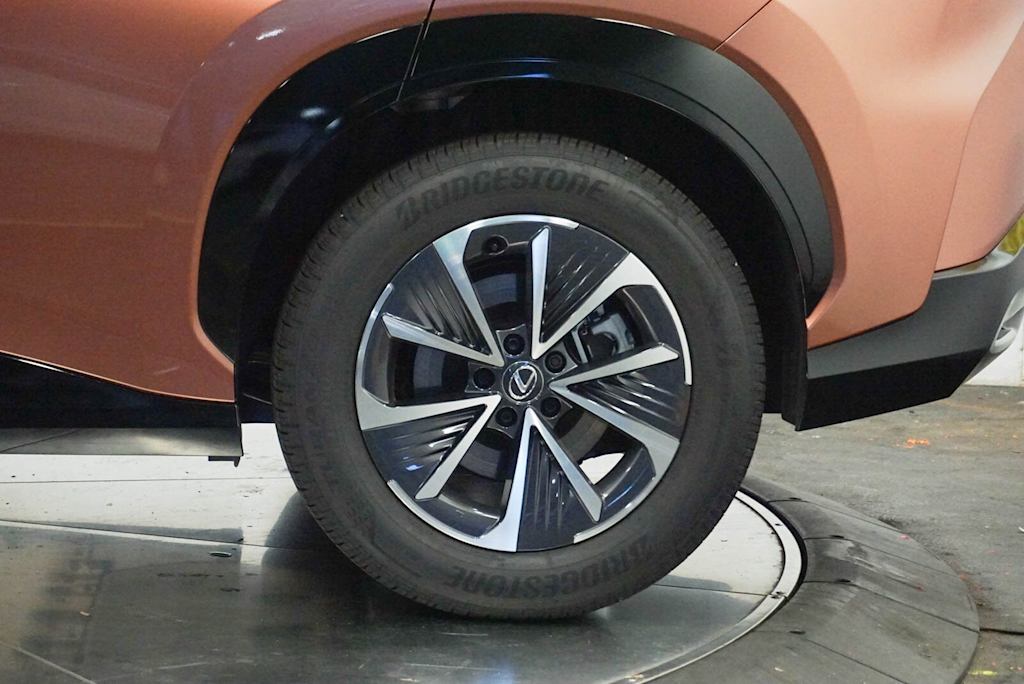 Thumbnail: 2025 Lexus RZ - 20