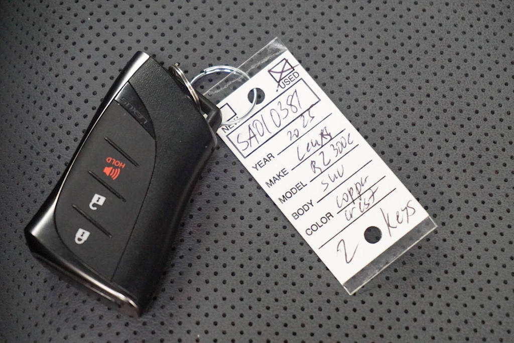 Thumbnail: 2025 Lexus RZ - 14