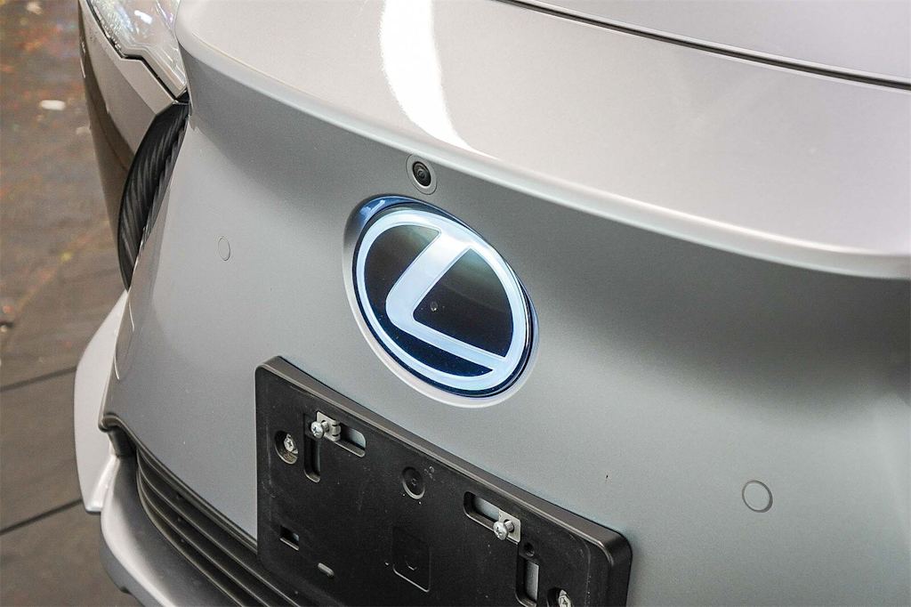 Thumbnail: 2024 Lexus RZ - 19