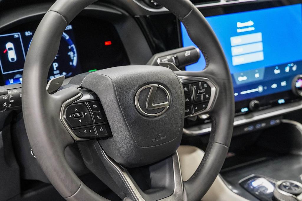 Thumbnail: 2025 Lexus RZ - 14