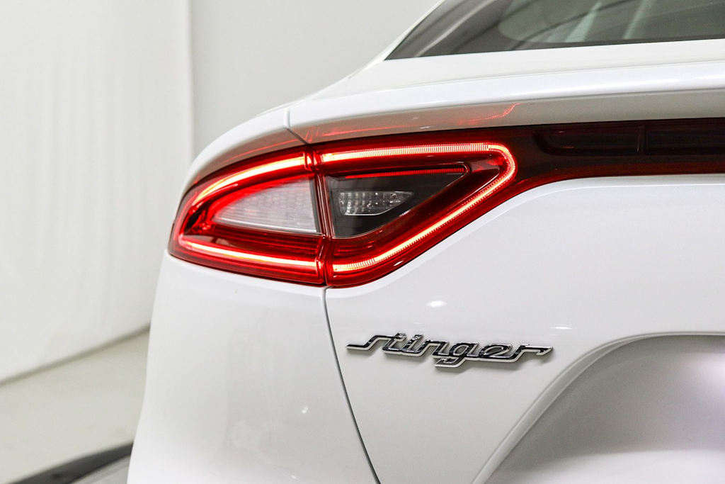 Thumbnail: 2019 Kia Stinger - 22
