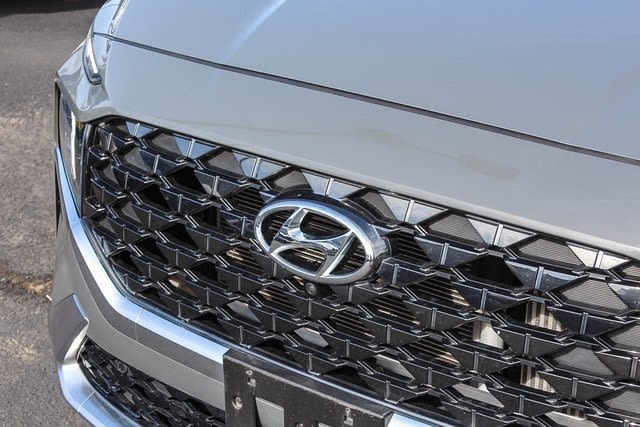 2021 Hyundai Santa Fe Calligraphy 6