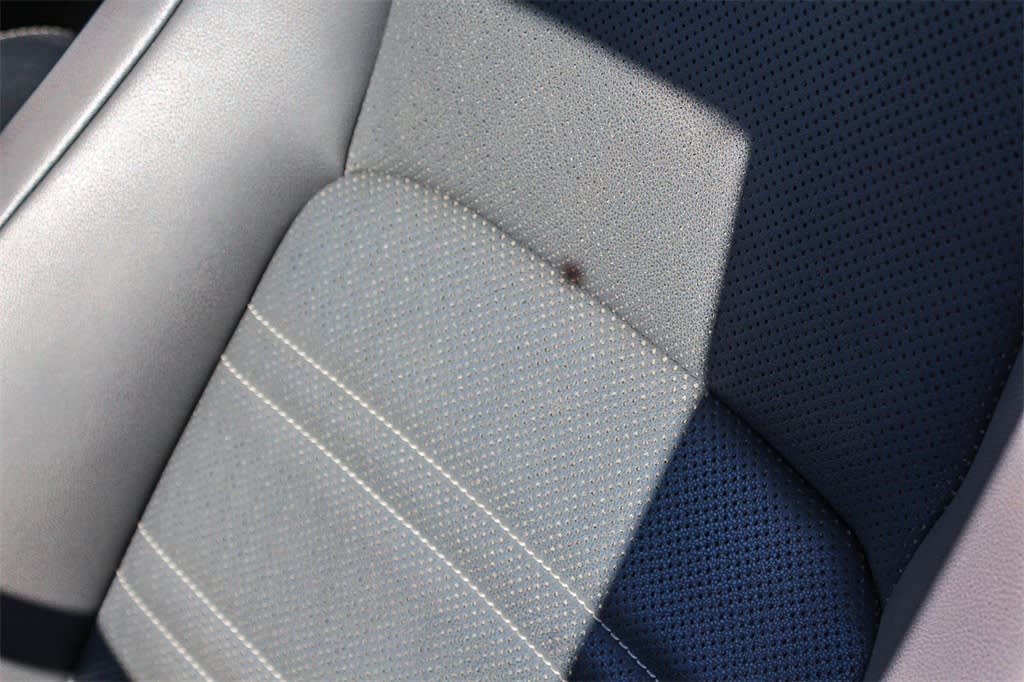 Thumbnail: 2021 Lexus NX - 10