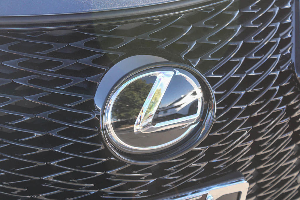 2025 Lexus UX 300h 6