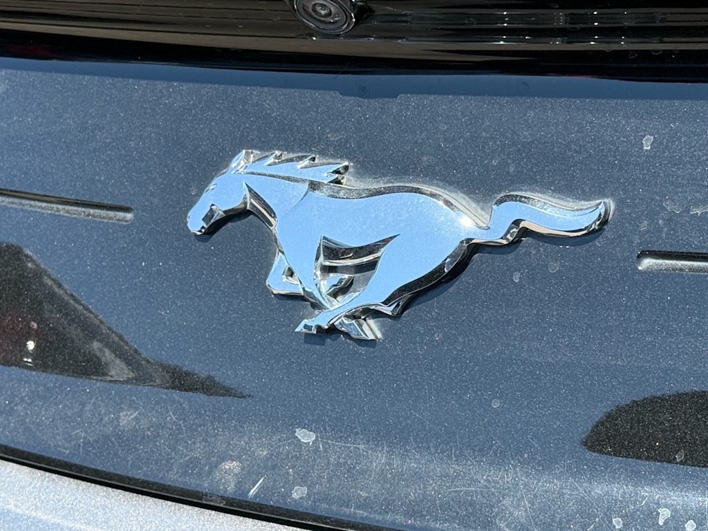2023 Ford Mustang  2