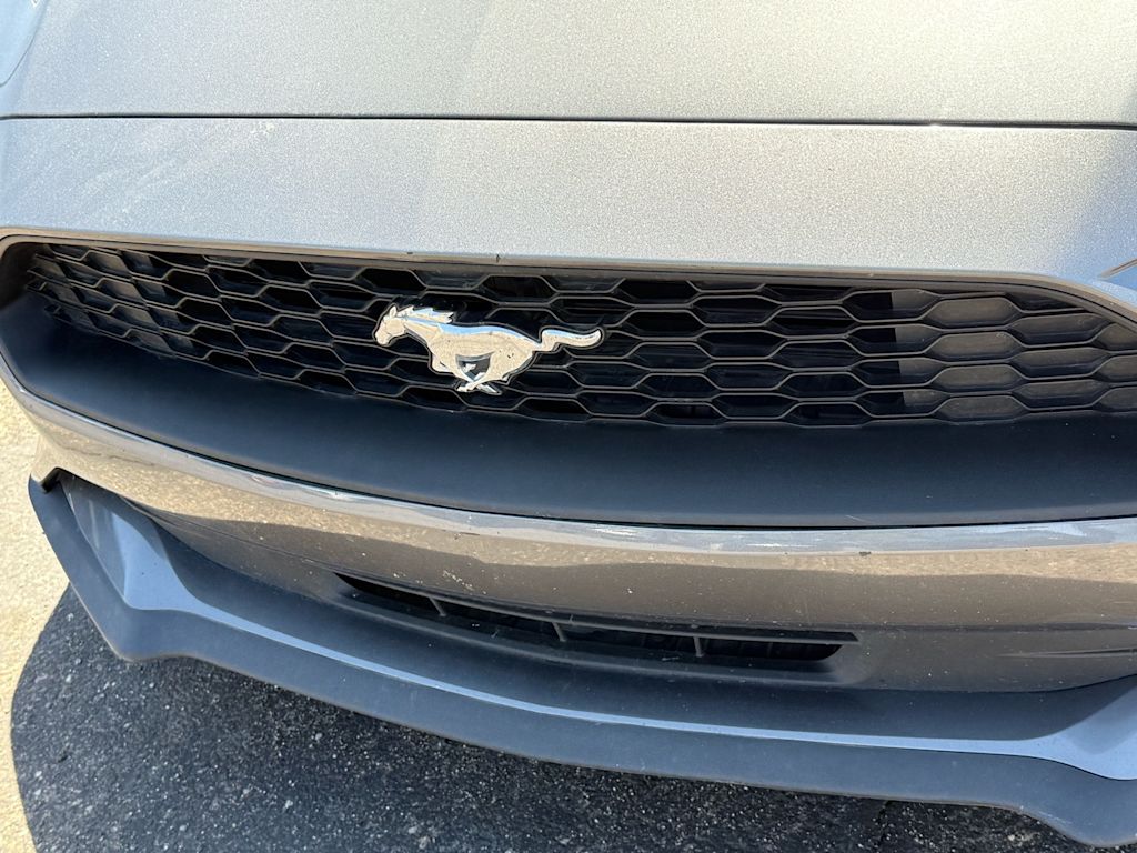 2023 Ford Mustang  19