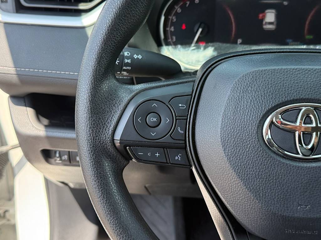 Thumbnail: 2025 Toyota RAV4 - 16