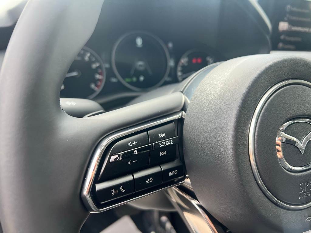 2025 Mazda CX-70 Turbo Preferred 29