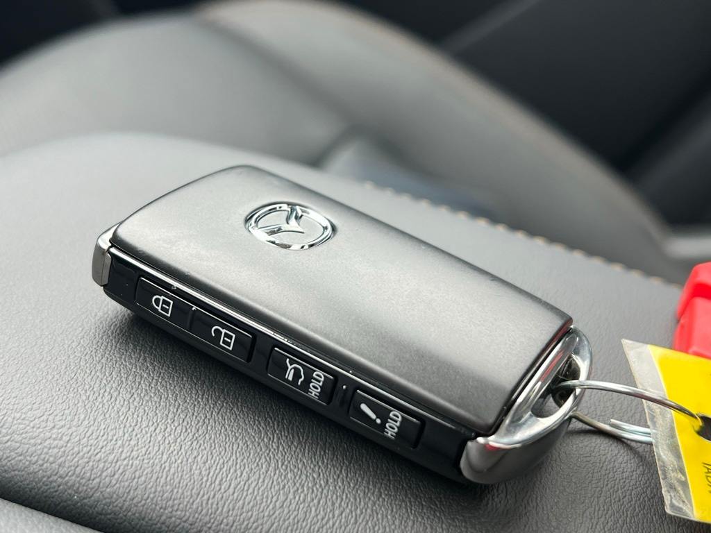 Thumbnail: 2025 Mazda CX-90 - 17