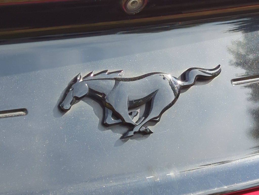 Thumbnail: 2021 Ford Mustang - 25