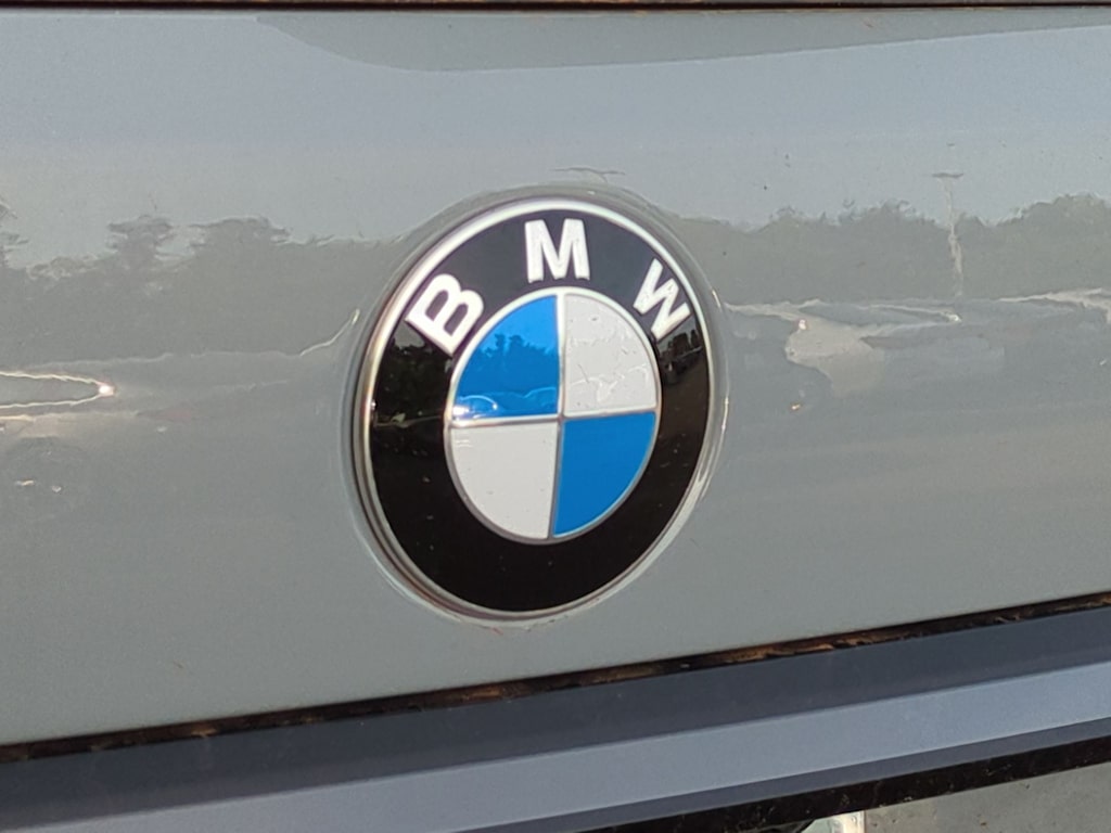 Thumbnail: 2025 BMW X7 - 7