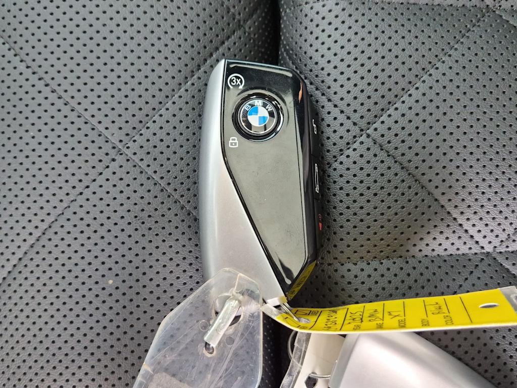Thumbnail: 2025 BMW X7 - 19