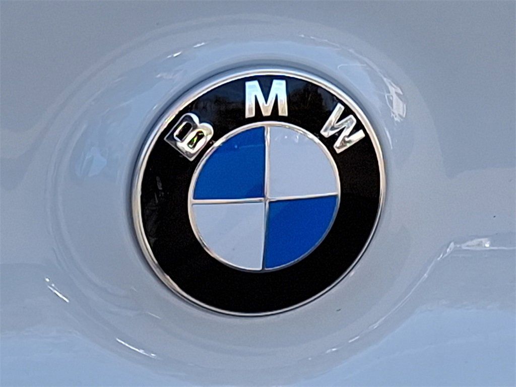 Thumbnail: 2025 BMW X3 - 4